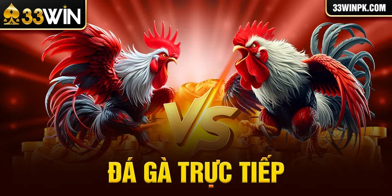 Đá gà trực tiếp 